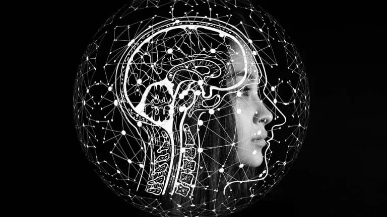 Inteligencia Artificial, ¿competidora o aliada?
